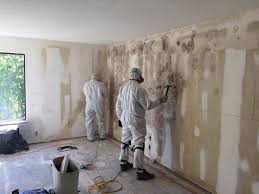 Asbestos and Lead Testing During Mold Inspection in Medulla, FL